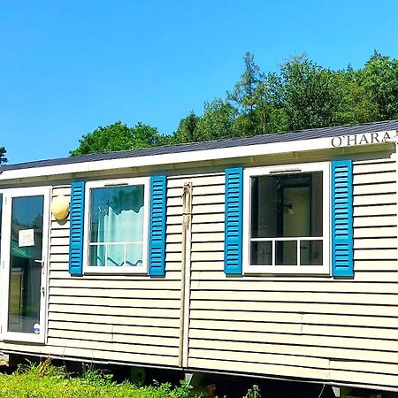 Camping Prima Týn nad Vltavou Eksteriør billede
